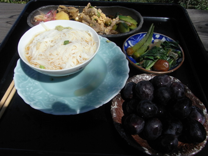 20100904suika.jpg