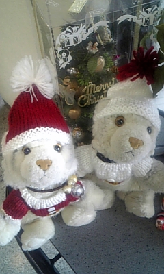 shiro&momo_xmas.jpg